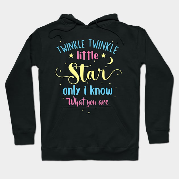 Twinkle Twinkle Little Star Gender Reveal Party Baby Shower Hoodie by Saboia Alves